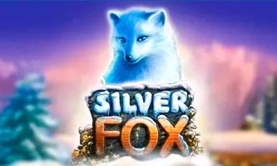 Silver Fox